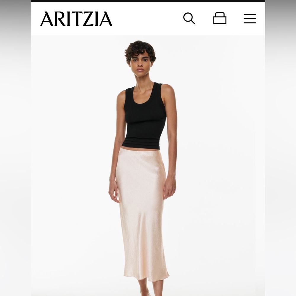 Aritzia Babaton Slip Maxi skirt